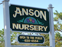 Citrus County FL Plant Tree Nursery